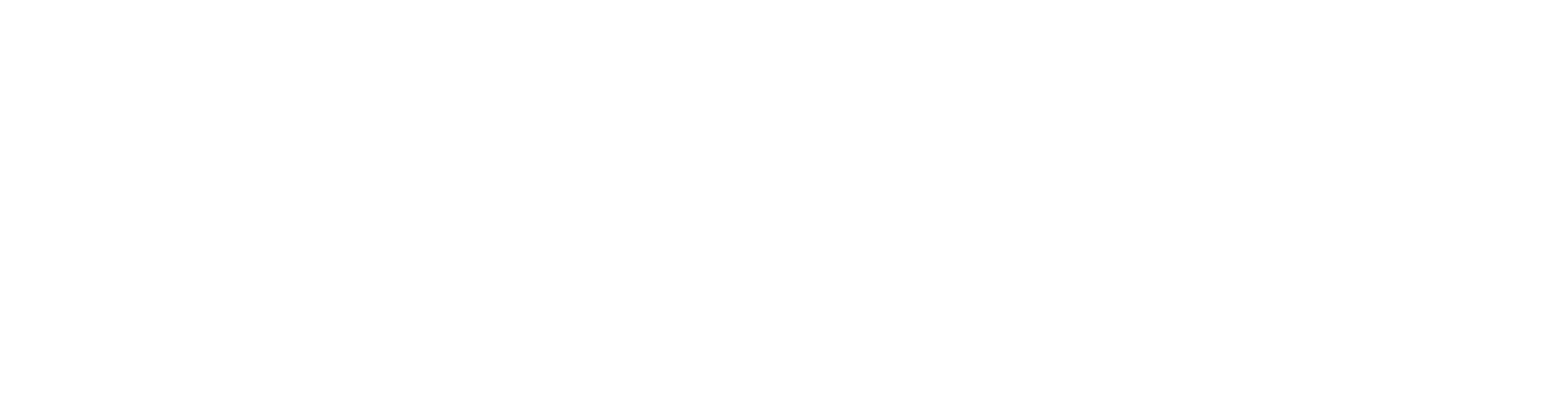 Precisely Tax Solutions Corp